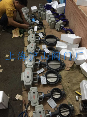 D971X-10C電動對夾軟密封蝶閥實(shí)拍圖